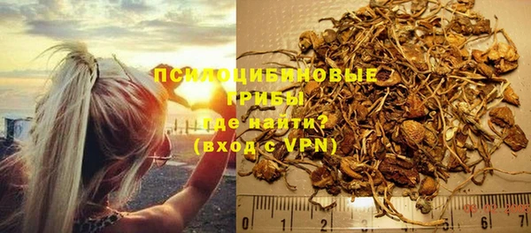 a pvp Горняк