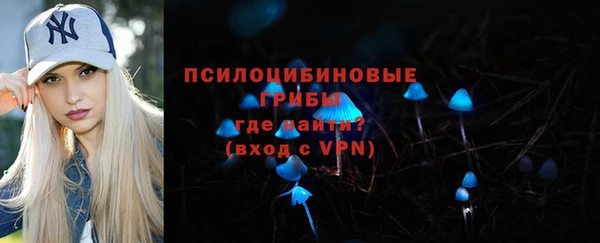 a pvp Горняк