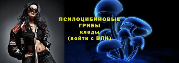 spice Горно-Алтайск
