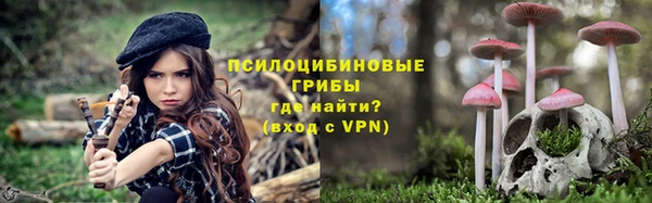 a pvp Горняк